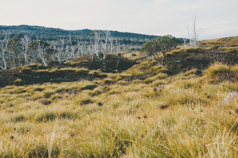 Tasmania 2013 -256.jpg