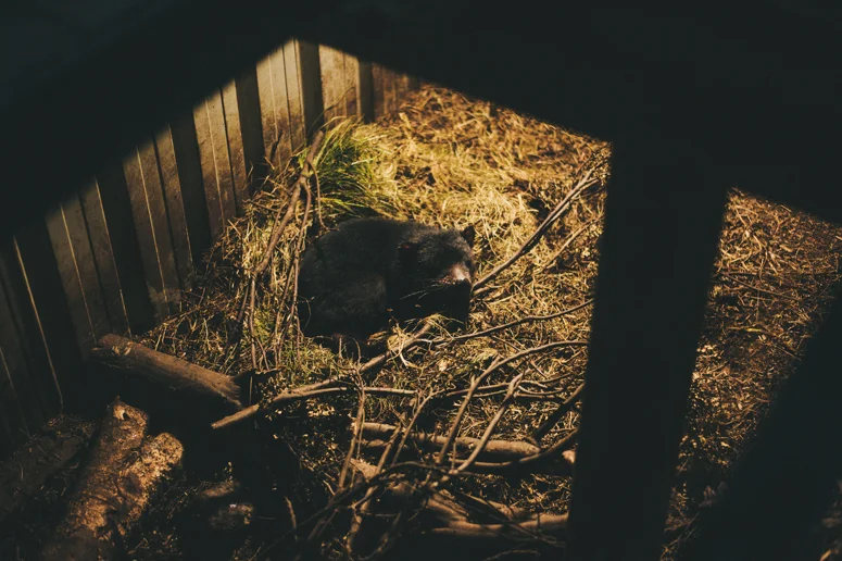 Tasmania 2013 -267.jpg