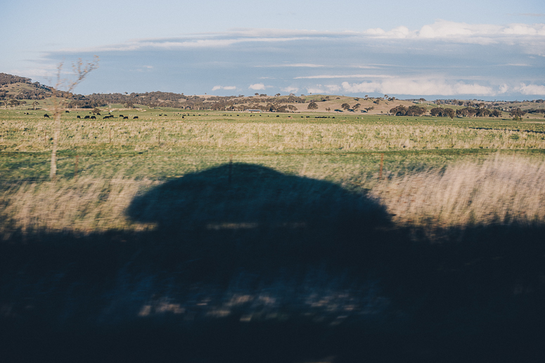 Canola Fields Blog-19.jpg