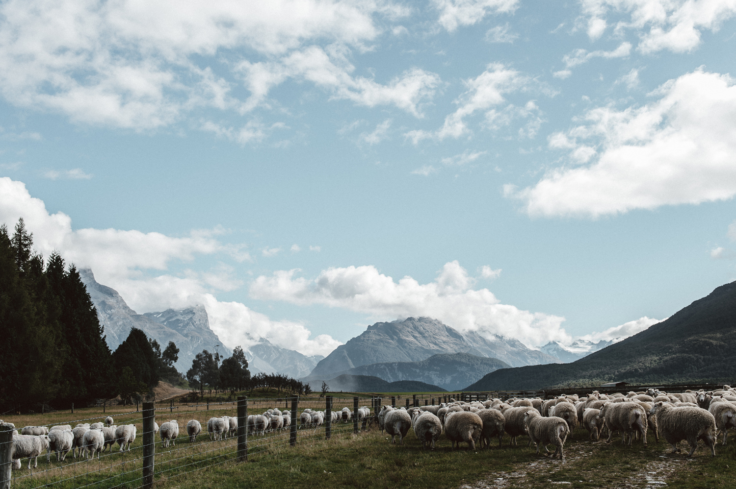 001-same_sex_wanaka_elopement.jpg