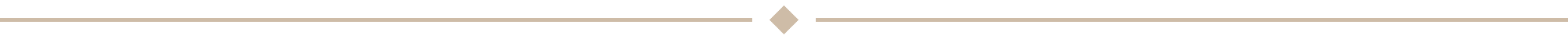 Thicker + Large Diamond Divider - Colour Edit 0.png