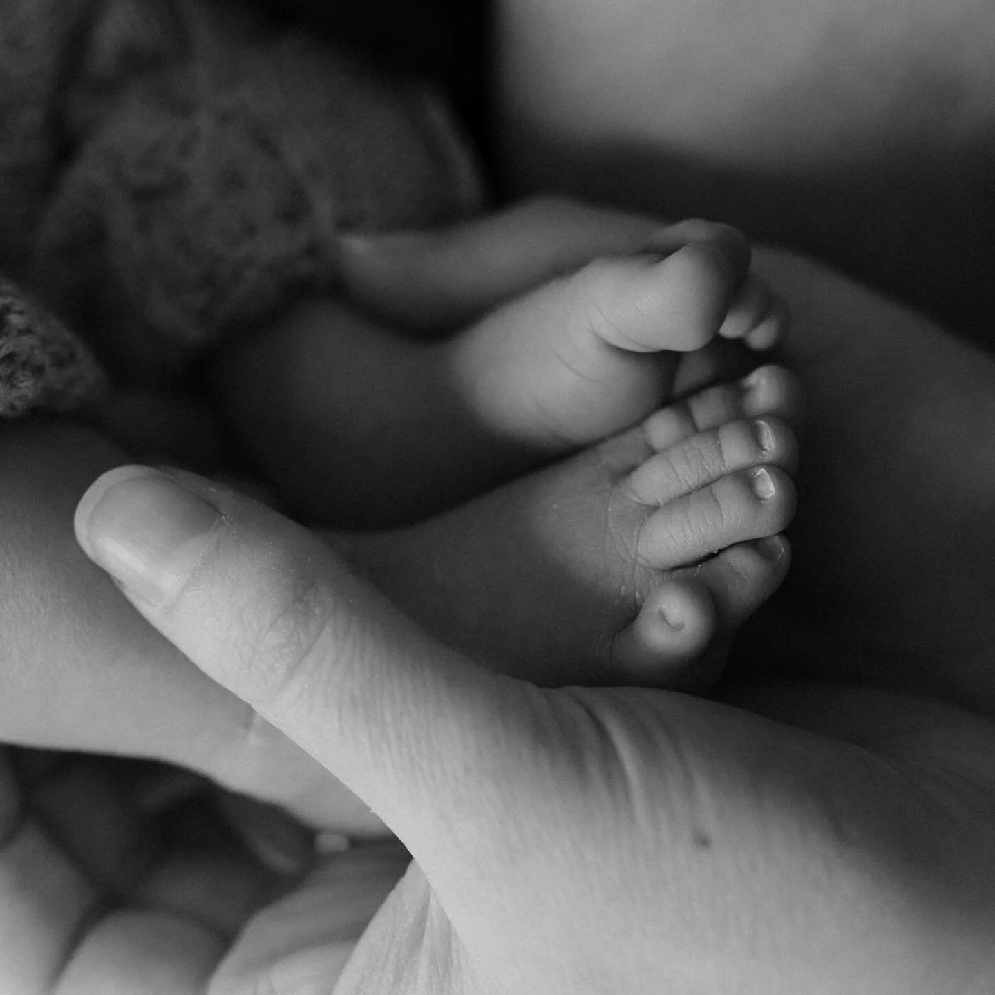 Tiny toes and big dreams. 

#laurencampbell #canberraphotographer #canberrafamilyphotographer #canberranewbornphotographer #newbornphotography #newborn #familyphotography #canberranewbornphotography