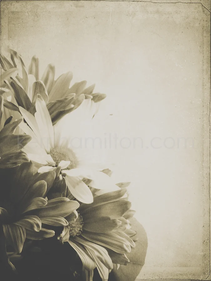 flowers4E.jpg