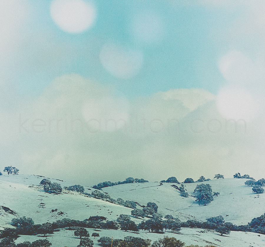 snow day072c.jpg
