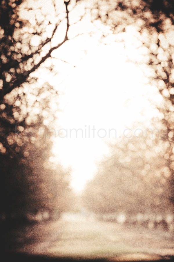 untitled-834.jpg