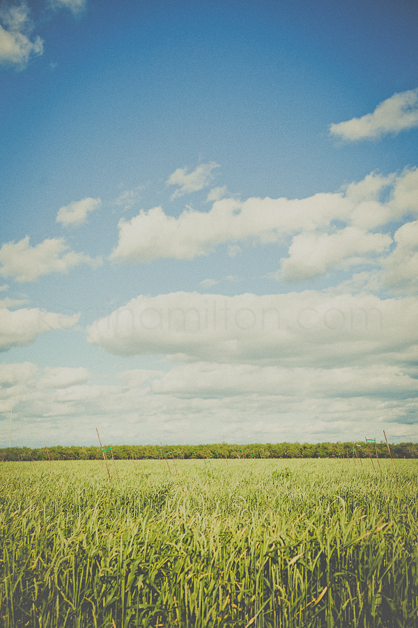 untitled-763.jpg