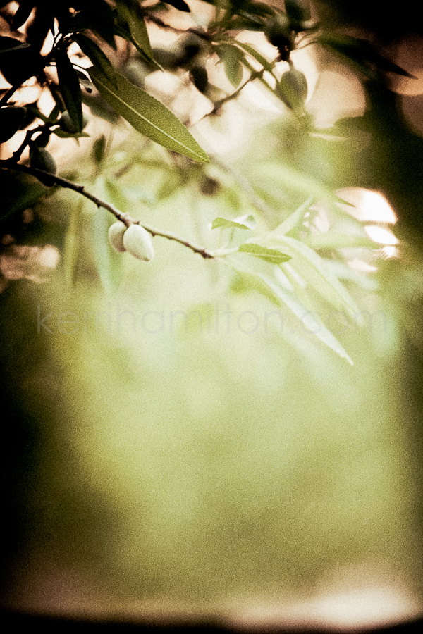 untitled-848.jpg