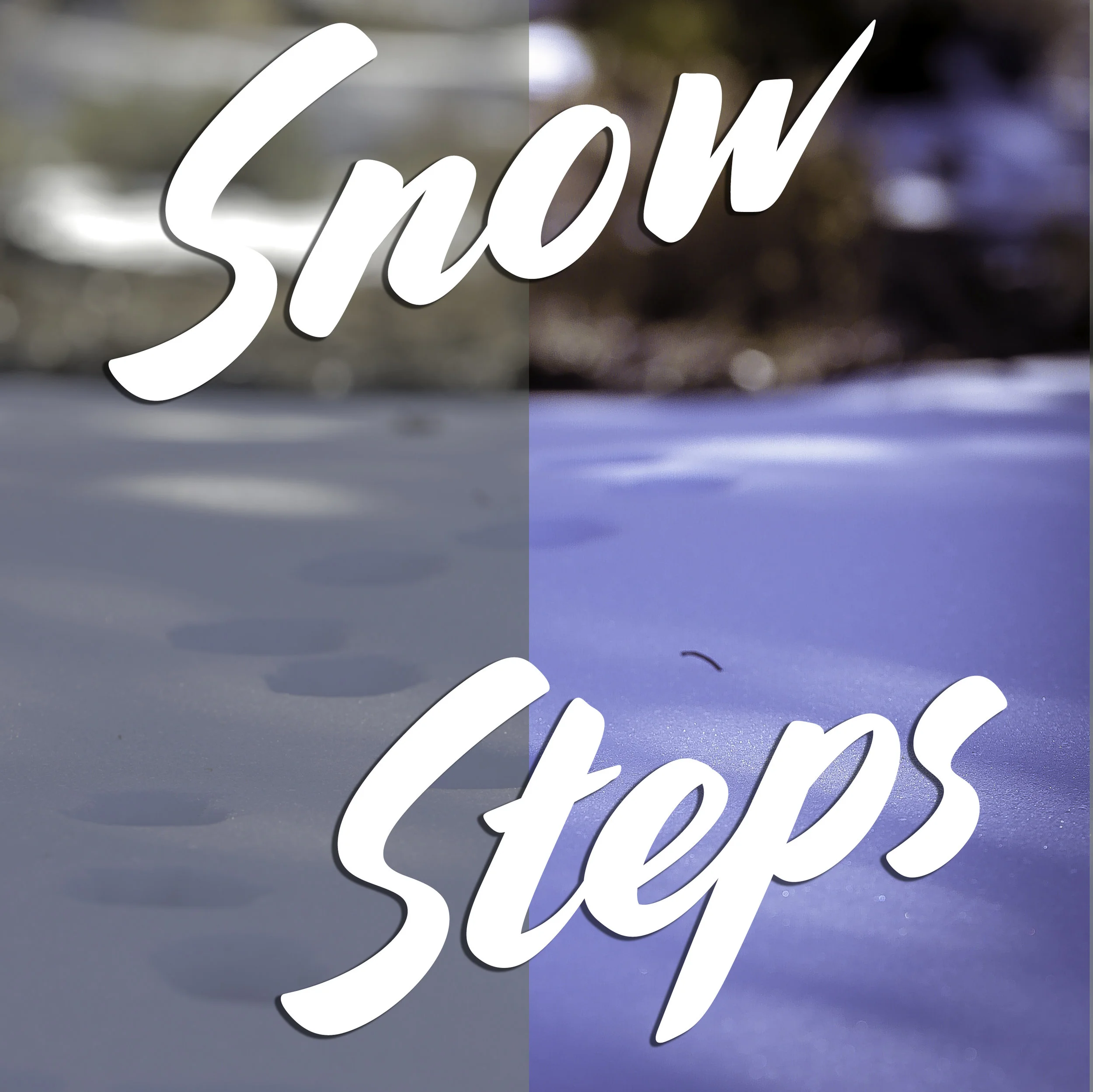 SnowSteps.jpg