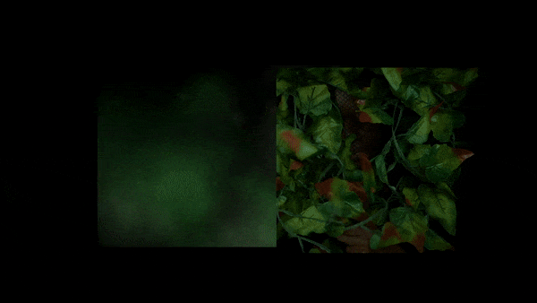 PSALMS OF THE LIMINAL
