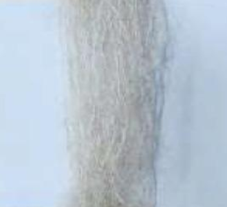 alpaca wool color card beige.png