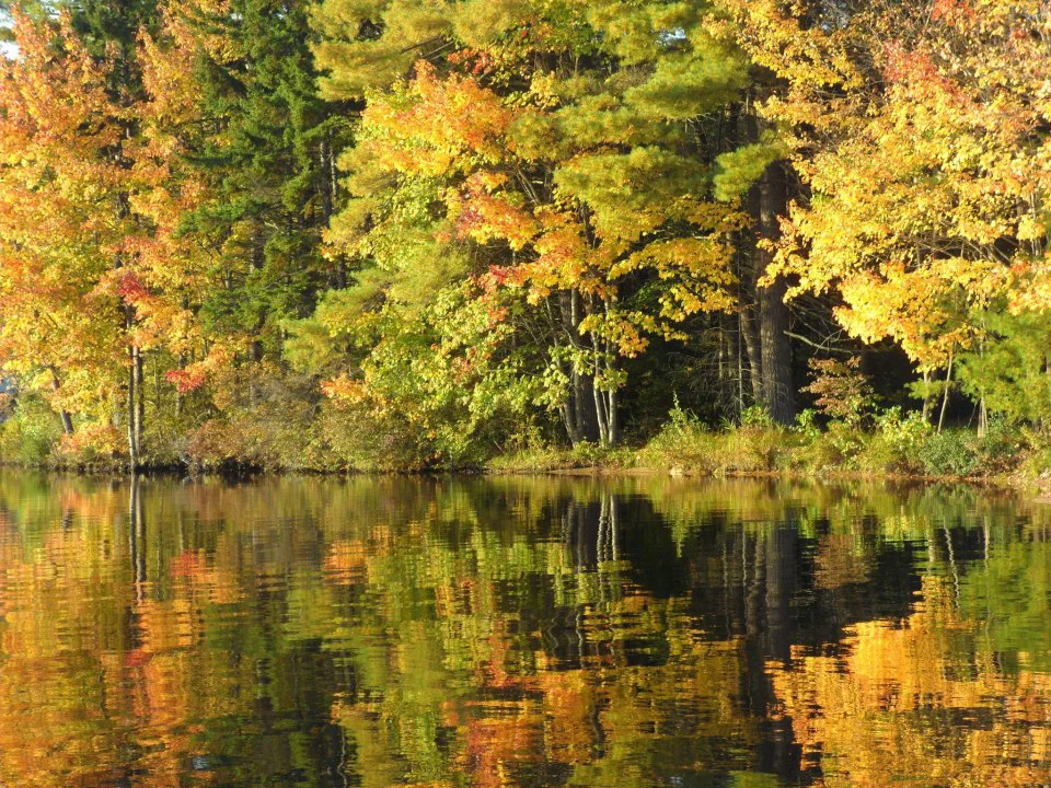 sunset_fall_pic.jpg