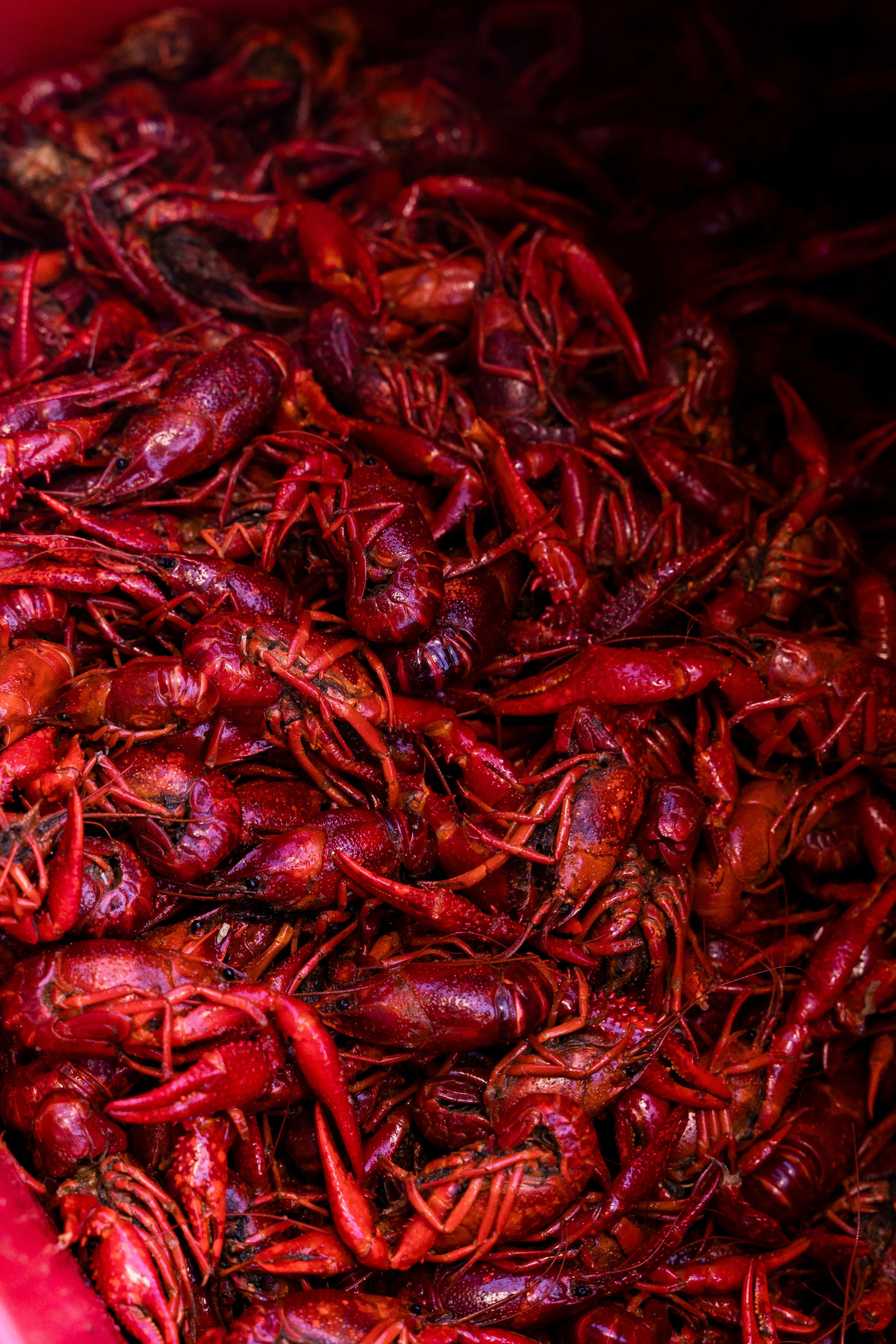 HargroveCrawfishClassic-2026-321.jpg
