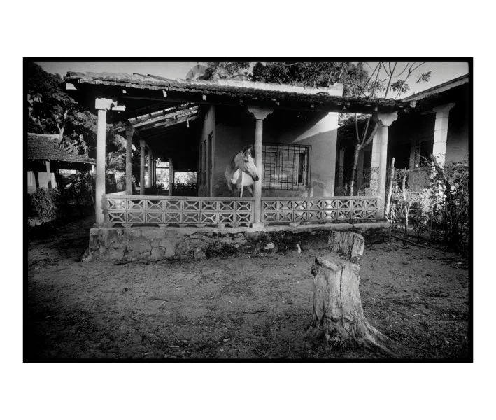 Horse on the Balcony: La Boca .Cuba
