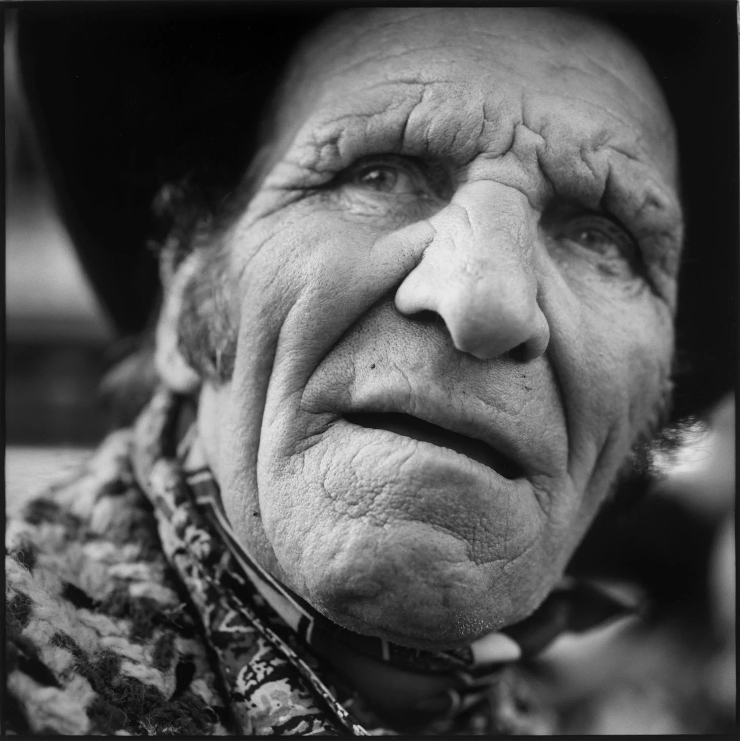 Kevin: Gypsy, Bacon Street.