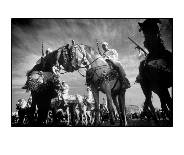 Fez : Fantasia Horse Festival.
