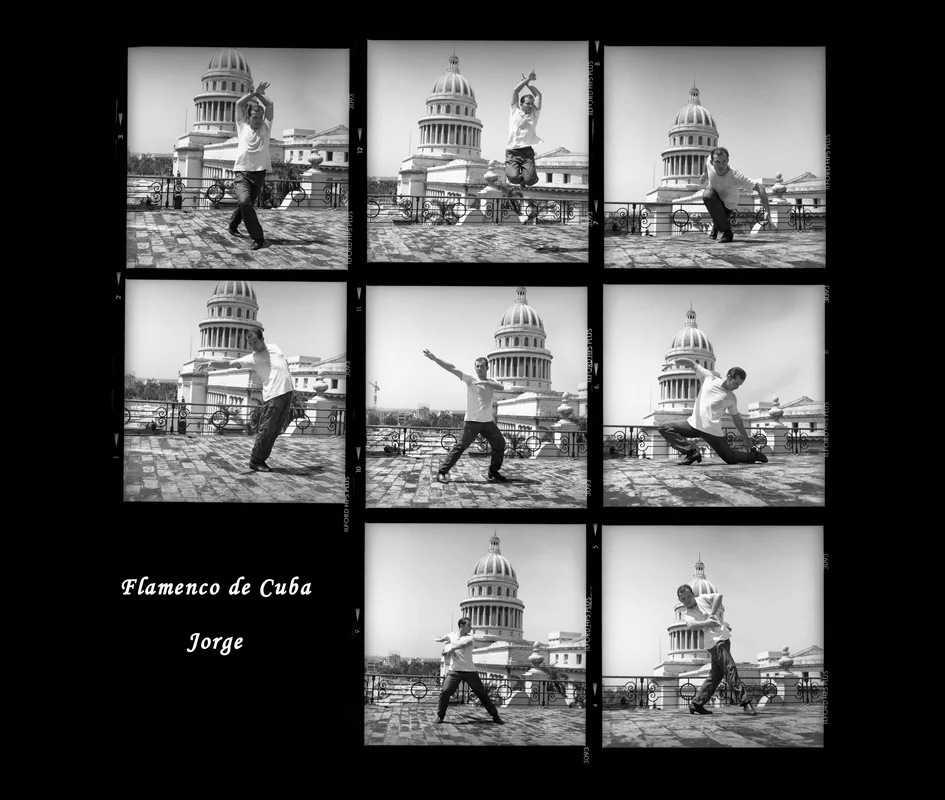Flamenco.