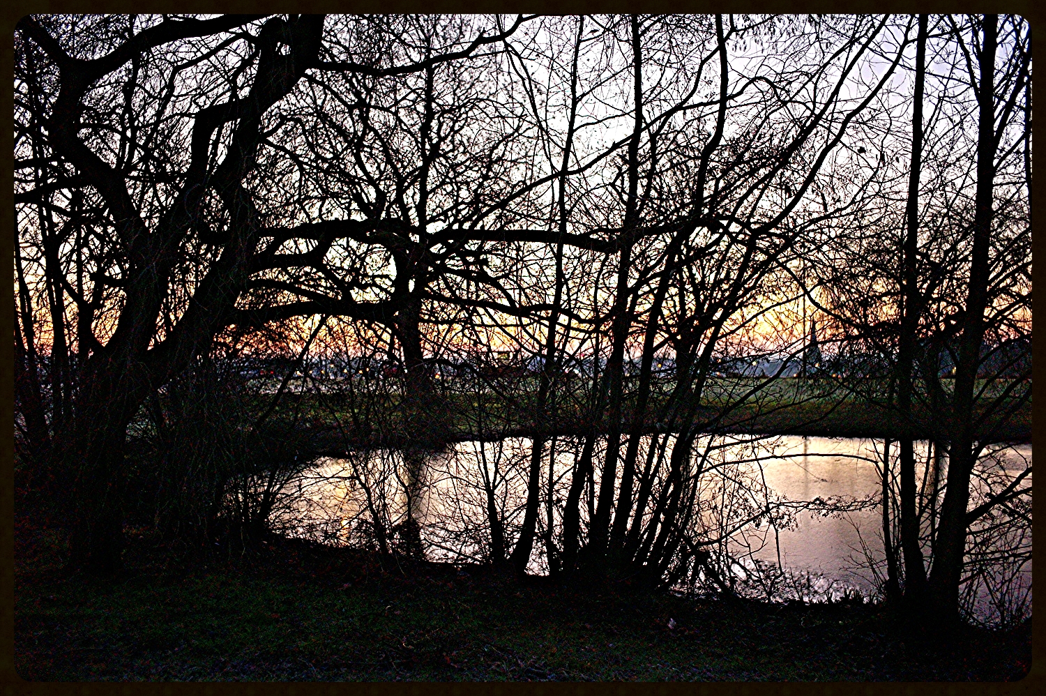 Blackheath pond : 31/12/2014