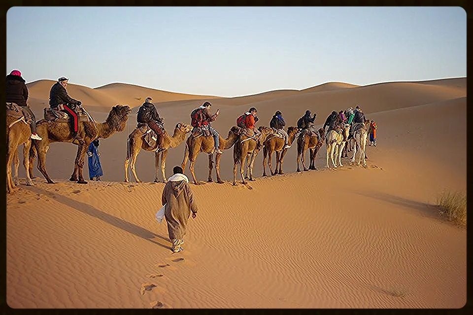 Sahara.