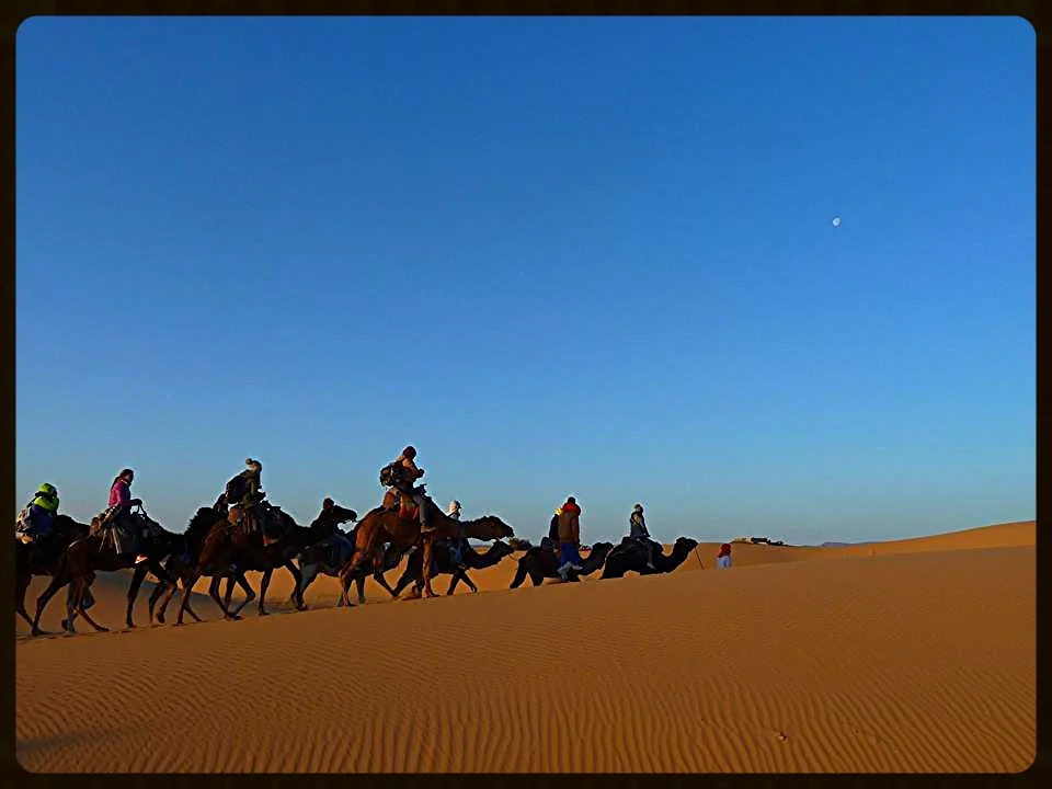 Sahara.