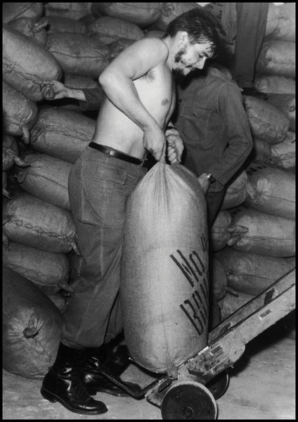 Che working in Sugarmill