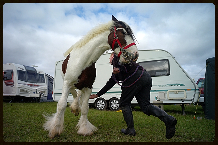 Stow Horse Fair