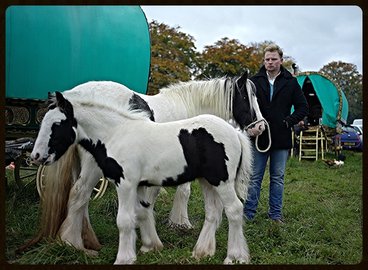 Irish Family and their Horses : Stow