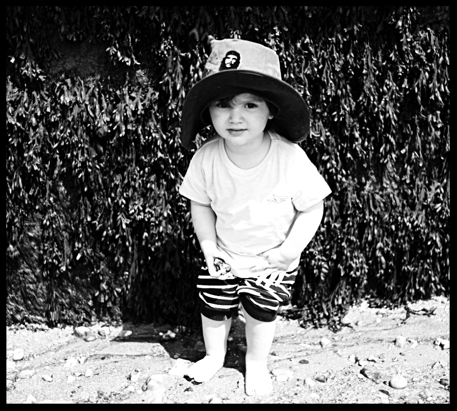 james seaside .jpg