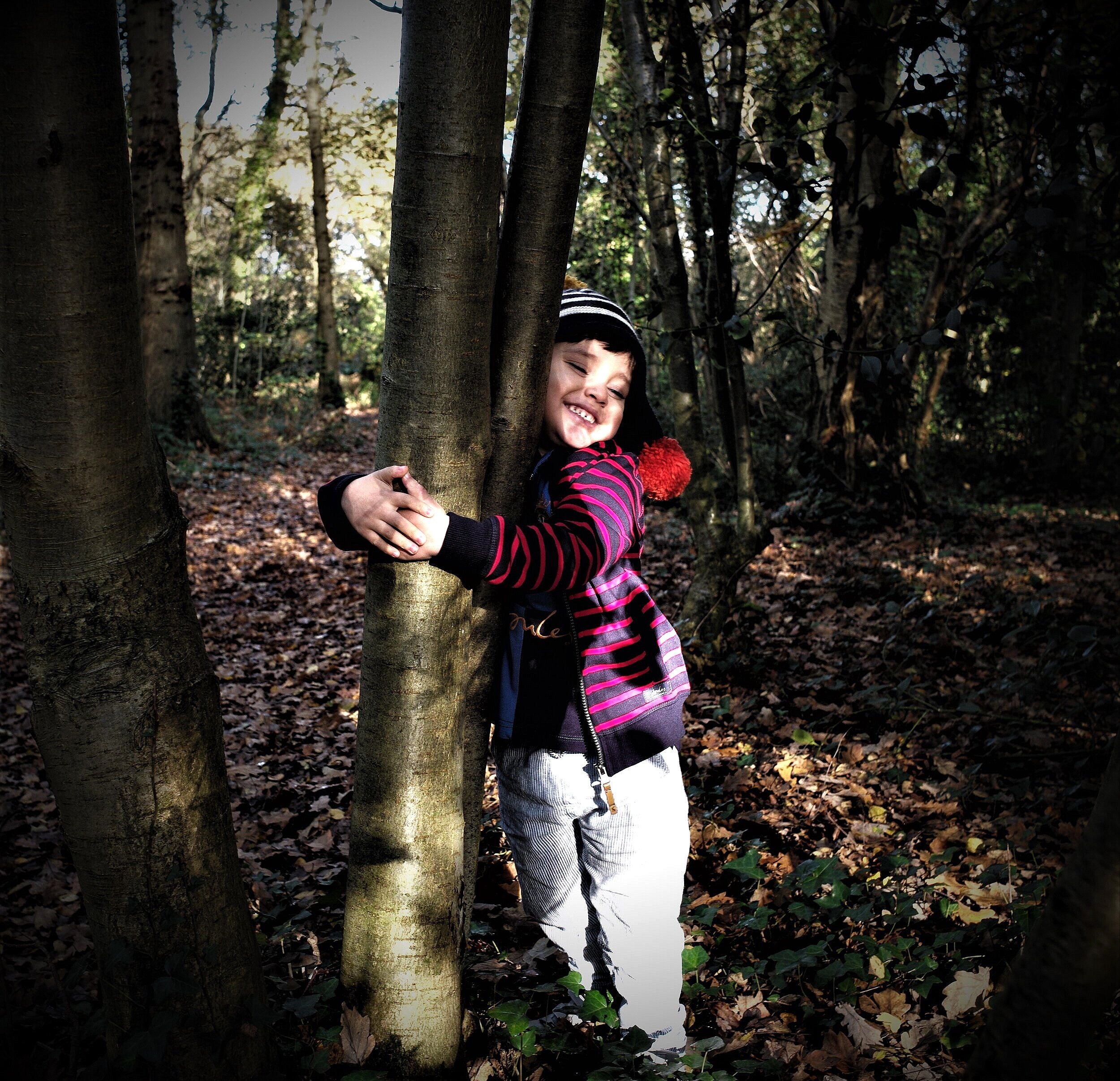 Magic Light 13th November