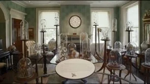 The Florence Griswold Museum