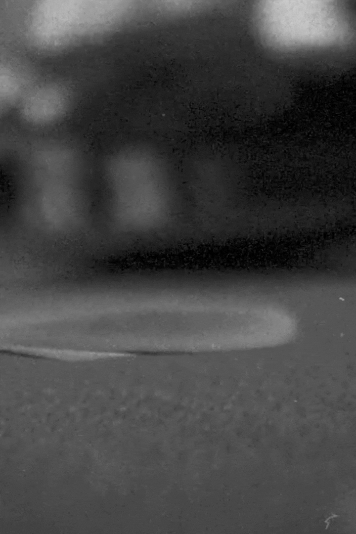 Bio Pitch_2x3-v3.gif