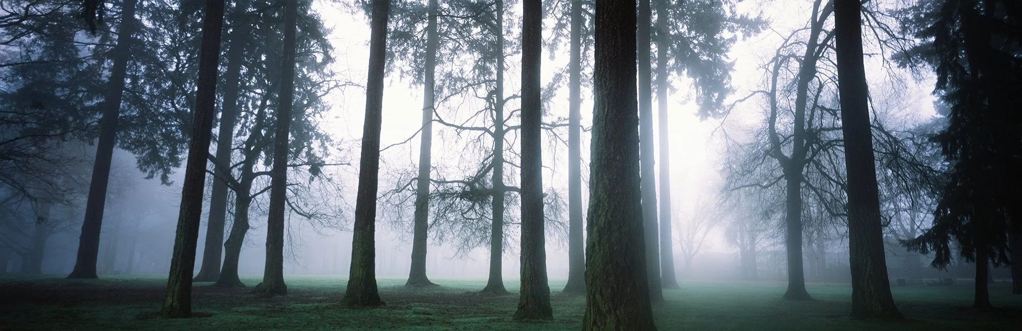 Wilshire Park | Sasquatch 617