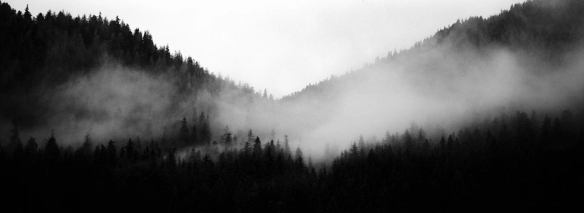 The Tongass | Fujifilm TX-1