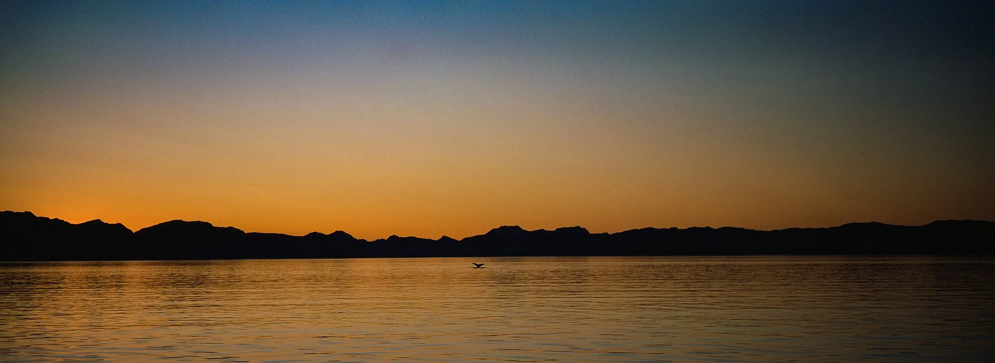 Alaska Sunset | Hasselblad XPan