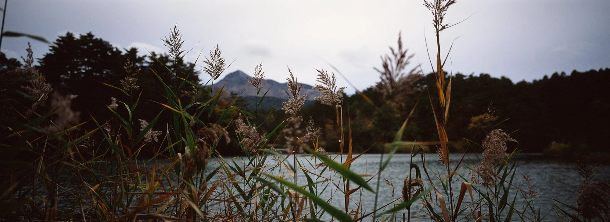 Lakeside | Hasselblad XPan