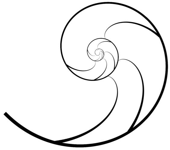 Nautilus_Shell.png