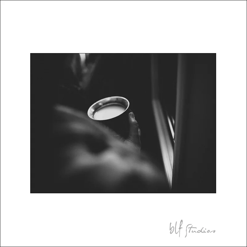 East Indian destination wedding photographer in Canada