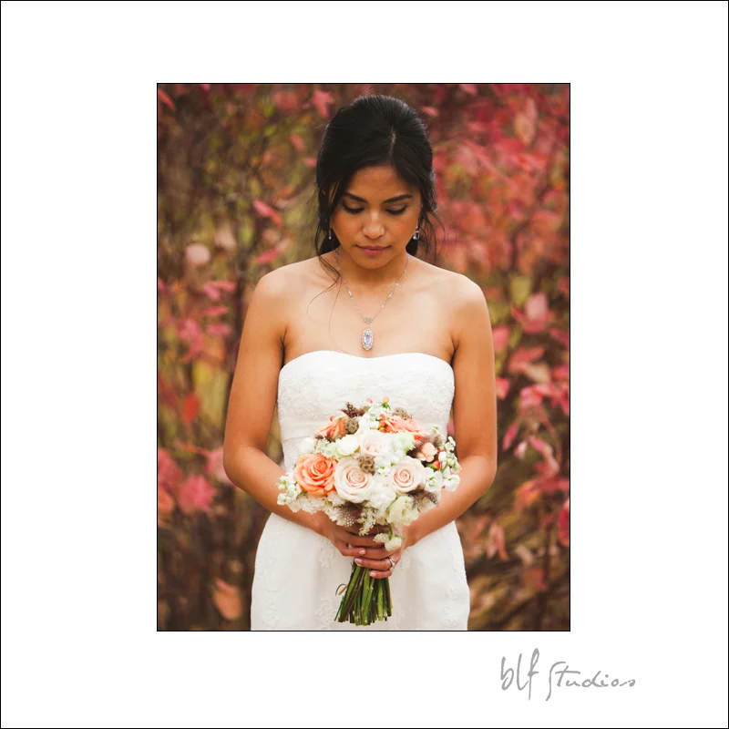Philippino Wedding Photography in Winnipeg
