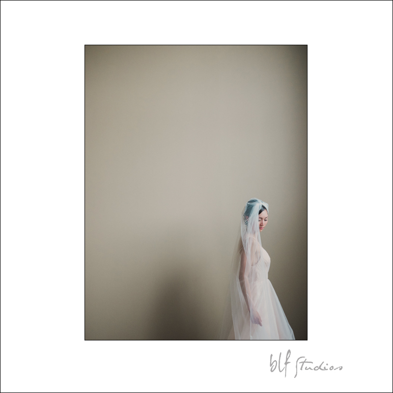 Wedding Photographers in Winnipeg best (13).jpg