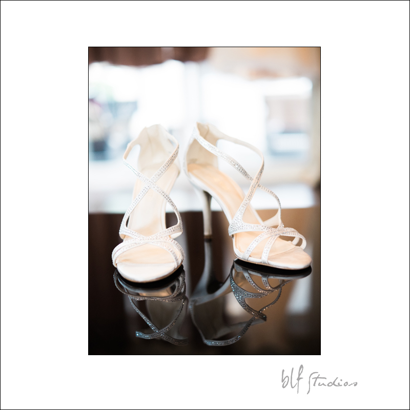 Wedding Photographers in Winnipeg best.jpg