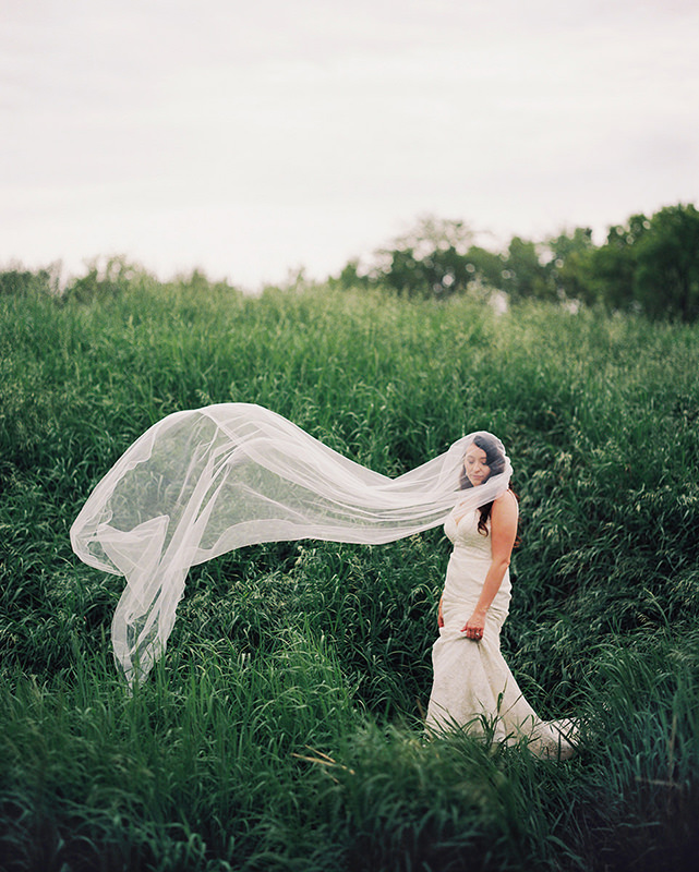 Cathedral veils Wedding Dress