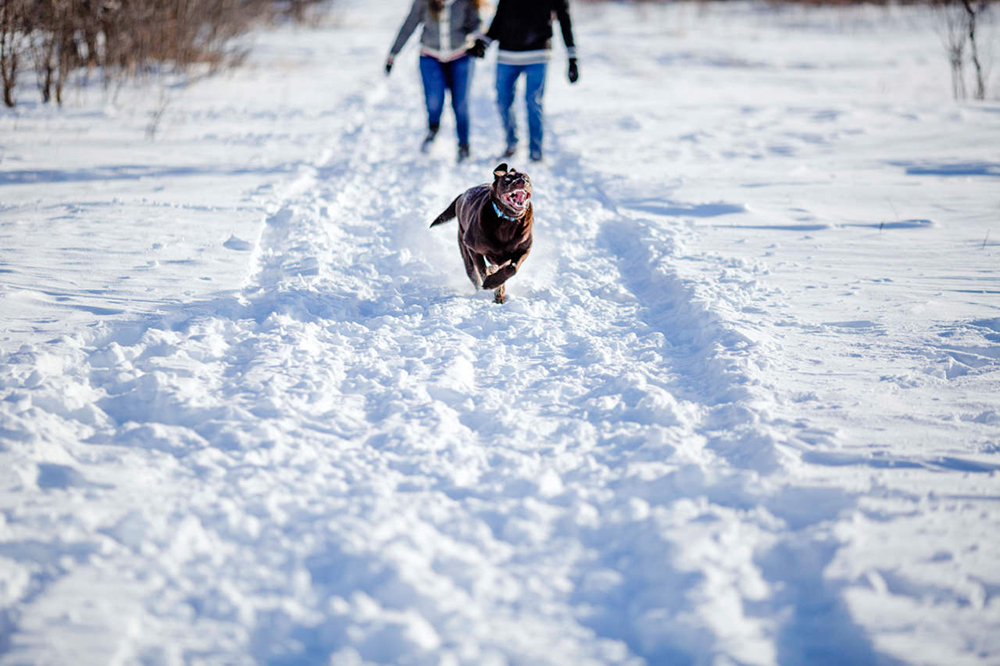 0003morris-winter-engagement-photos.jpg