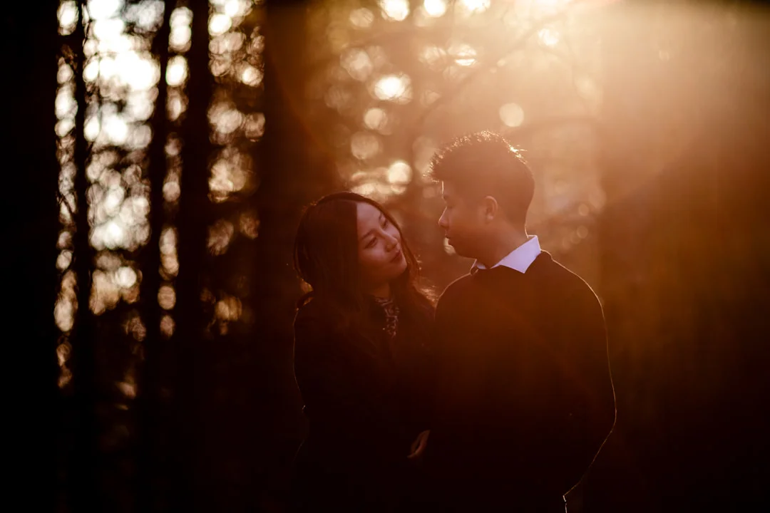 Anqi+Yi-PreWeddingShoot-chinesewedding-chinese-winnipeg-birdshillpark-blfstudios-tony-007.jpg