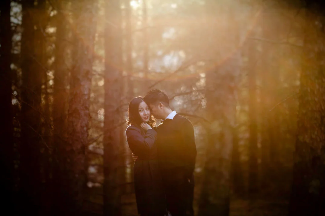 Spring engagement photos in Birds Hill Park