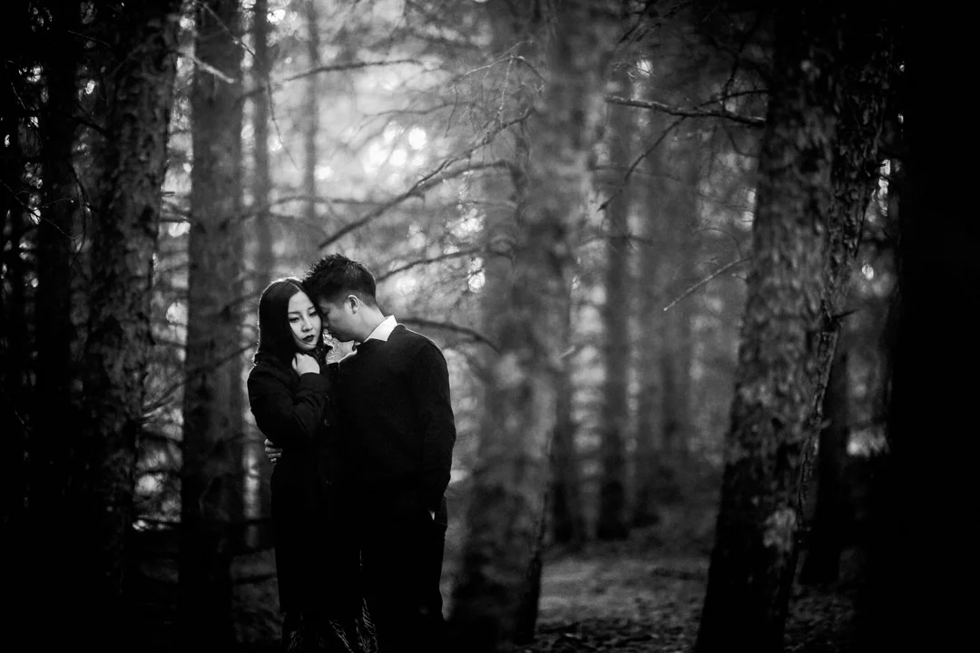 Anqi+Yi-PreWeddingShoot-chinesewedding-chinese-winnipeg-birdshillpark-blfstudios-tony-015.jpg