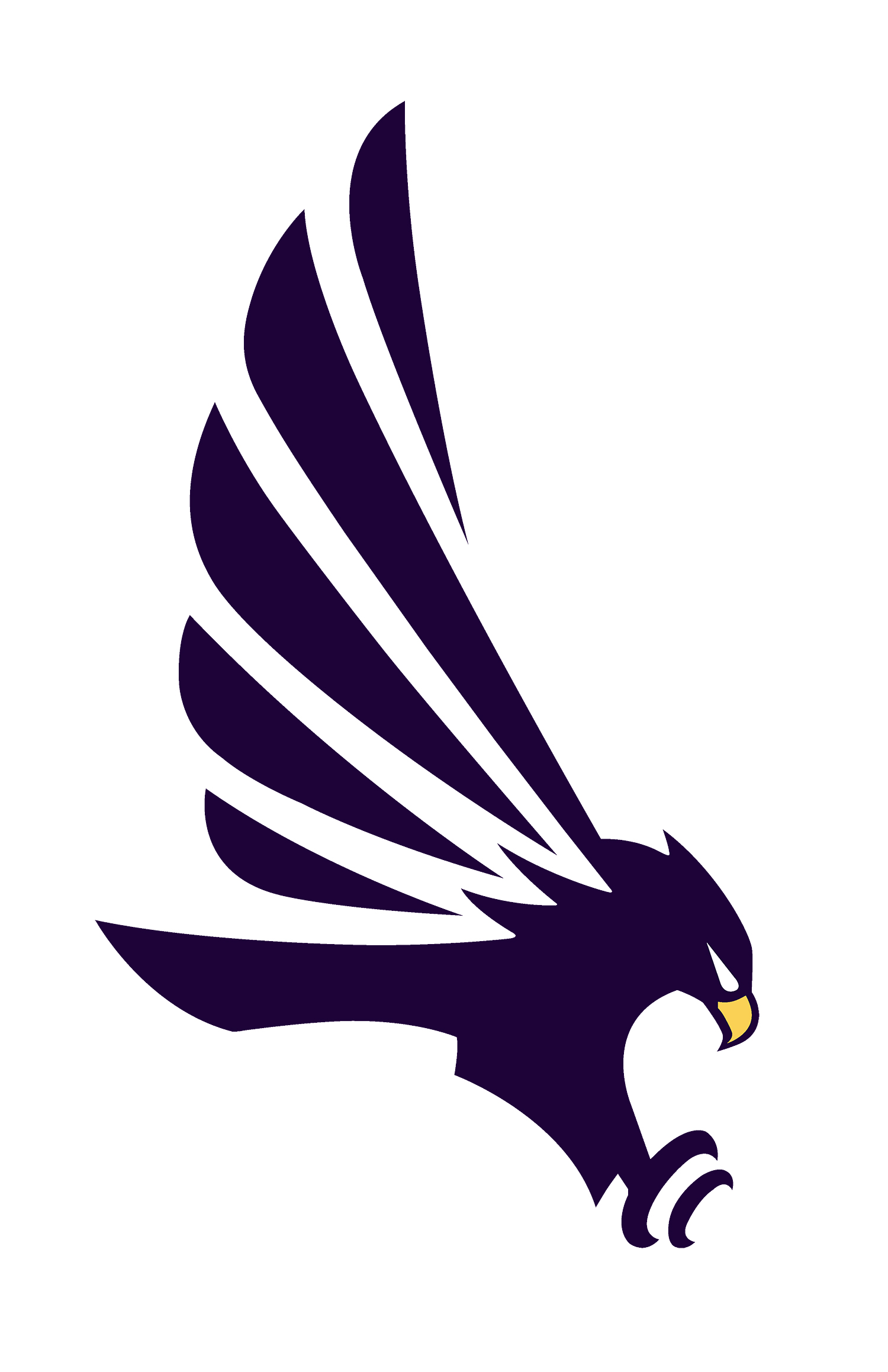 hunter hawk NEW copy-01.jpg
