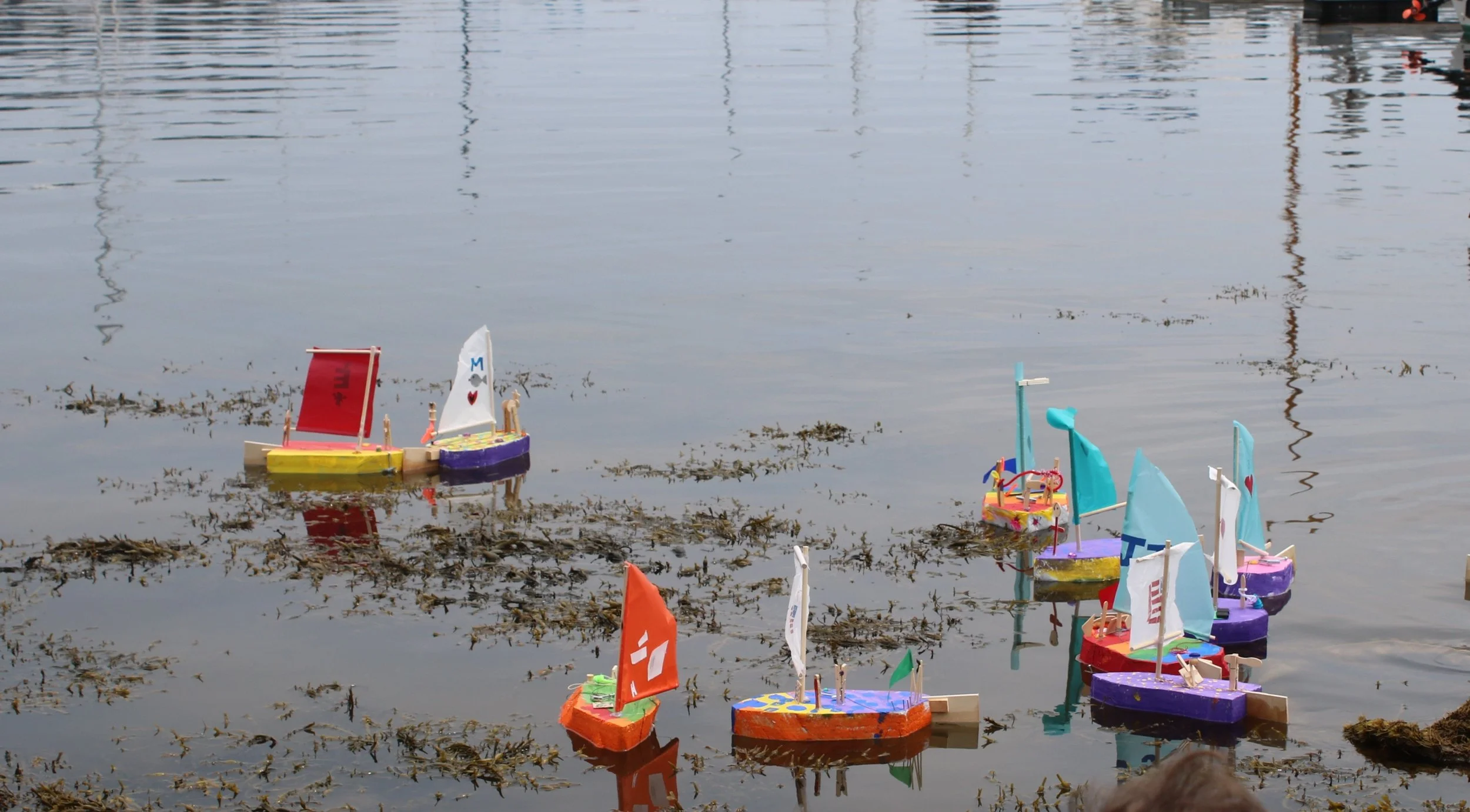 IMG_9793 - Cropped.JPG