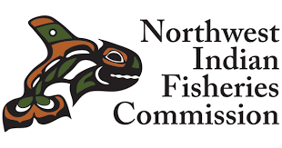 Northwest Indian Fisheries Commission.png