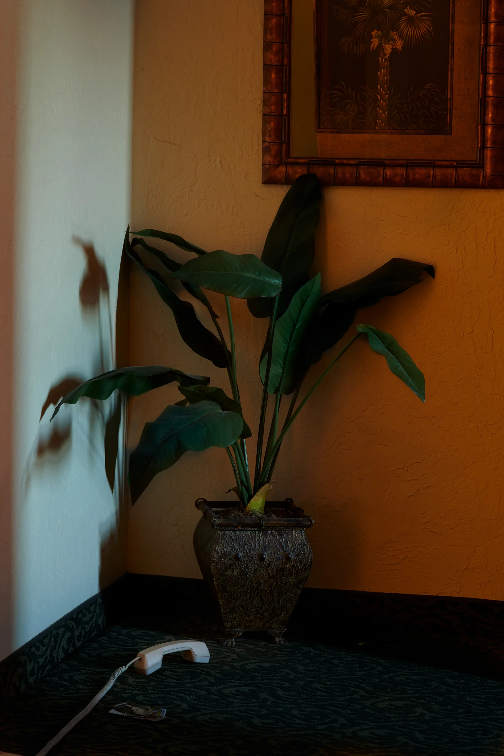 190203_LasVegas_0125.jpg