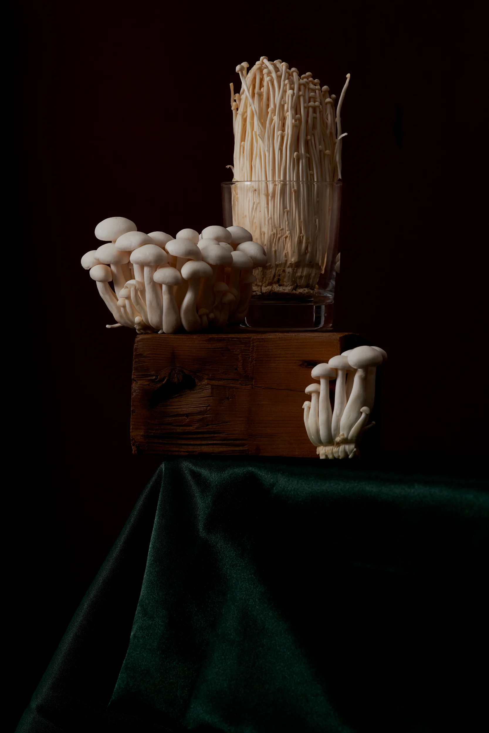 190224_Shrooms_0029.jpg