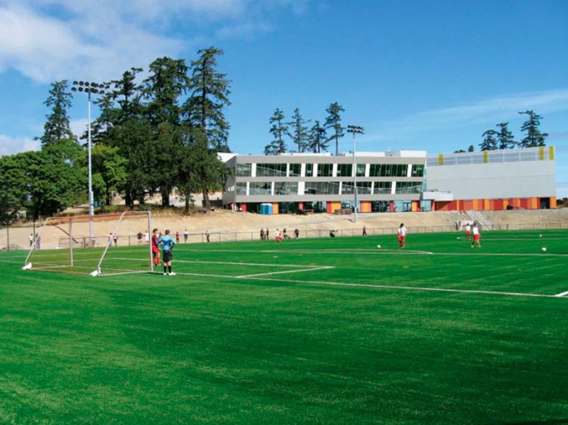 All-weather multi-sport playing field